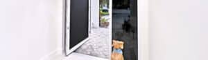 Commercial Pivot Door