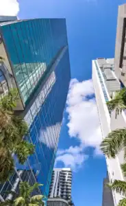 looking up a Miami skyscraper with palm tress